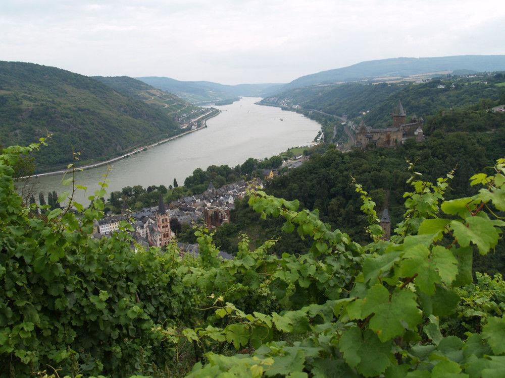 Landgasthaus Rosenhof Trechtingshausen ภายนอก รูปภาพ